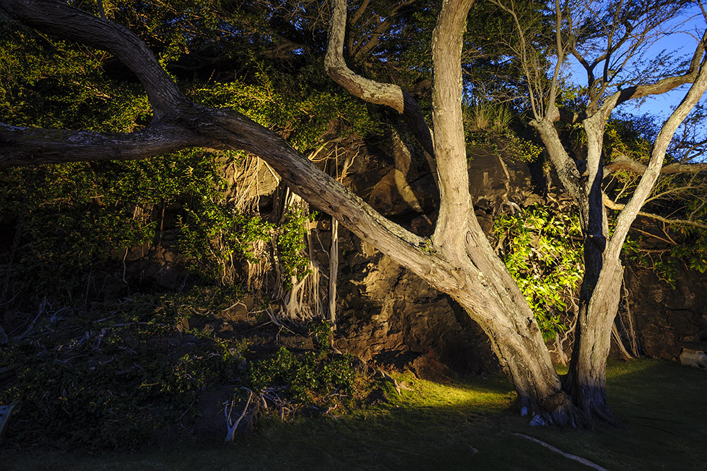 Honolulu Night Lighting Landscape 2